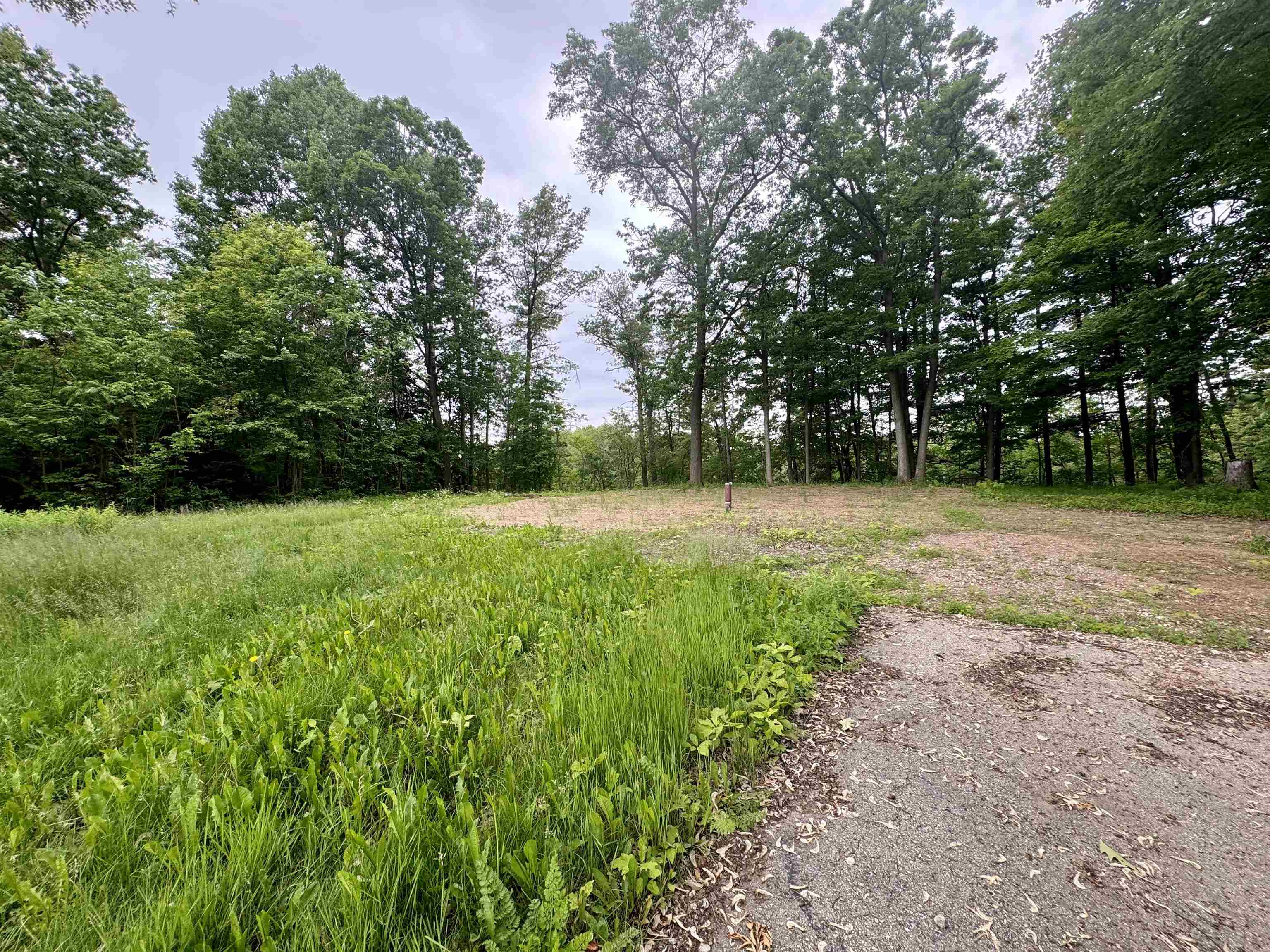 Shawano, Wisconsin 54166, United States, ,Land,Active,50933