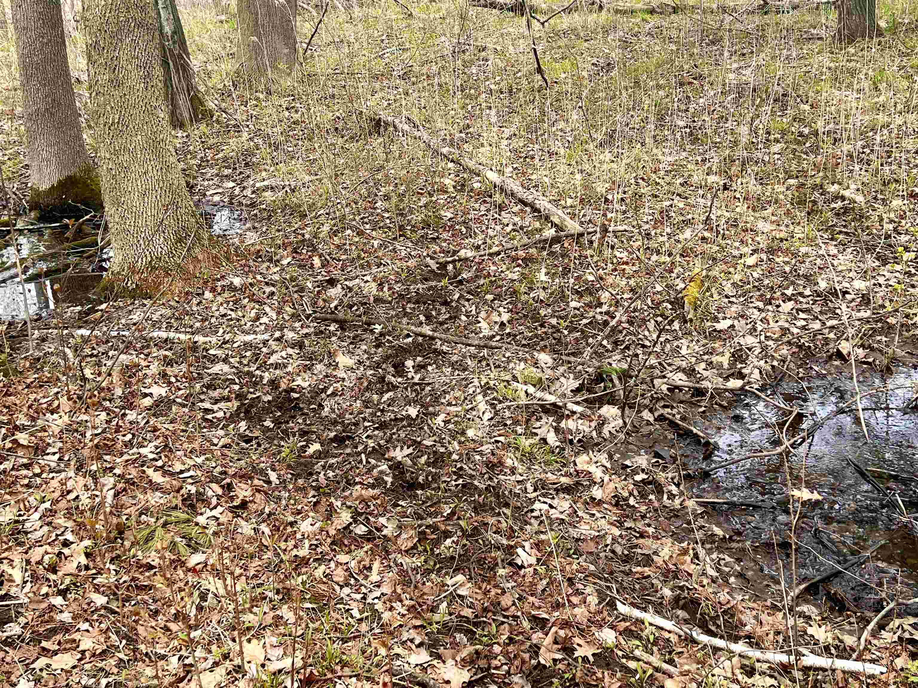 Little Suamico, Wisconsin 54141, United States, 2 Bedrooms Bedrooms, ,1 BathroomBathrooms,Residential,Active,53732