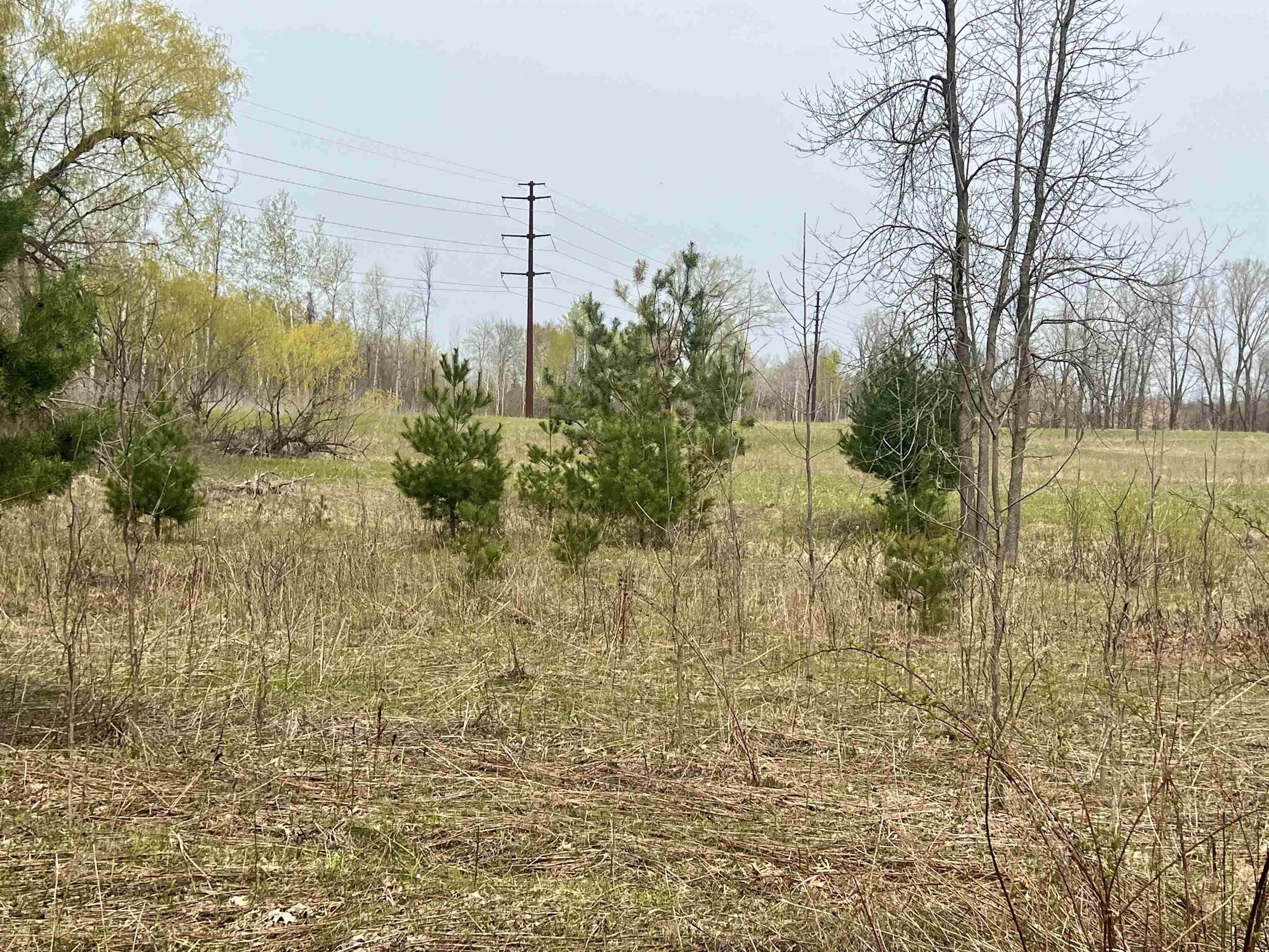 Little Suamico, Wisconsin 54141, United States, 2 Bedrooms Bedrooms, ,1 BathroomBathrooms,Residential,Active,53732