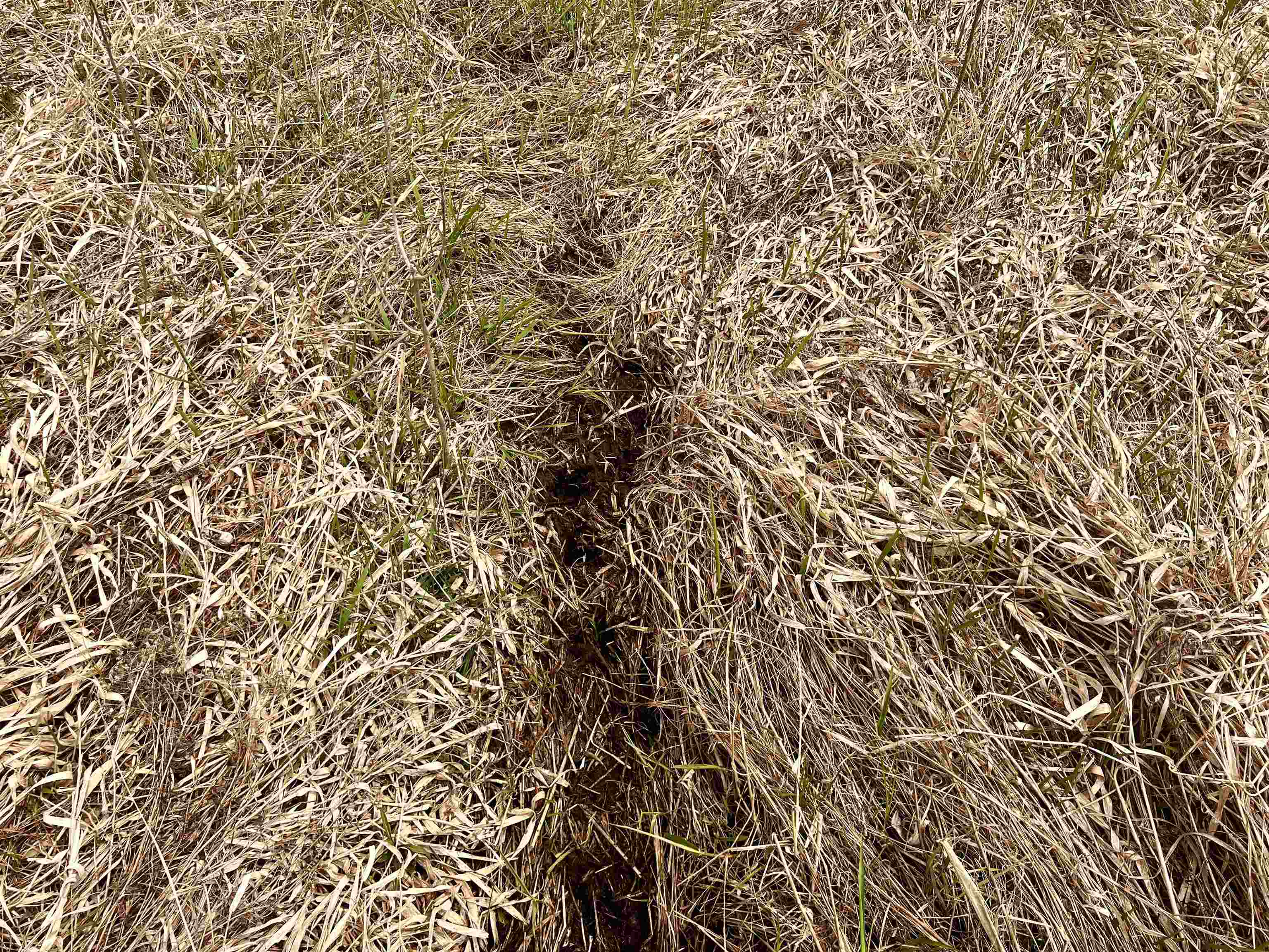 Little Suamico, Wisconsin 54141, United States, 2 Bedrooms Bedrooms, ,1 BathroomBathrooms,Residential,Active,53732