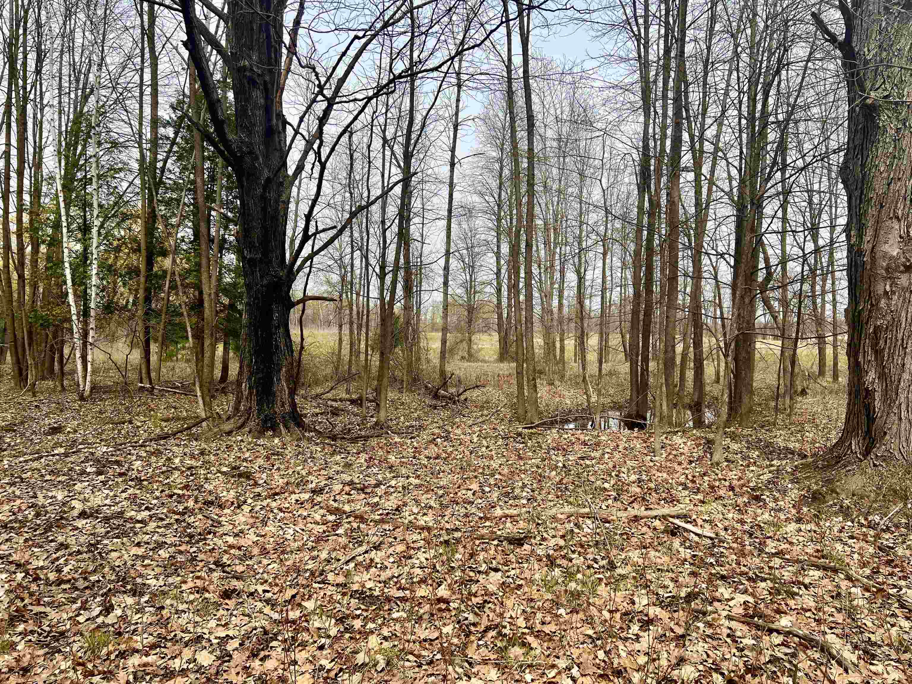 Little Suamico, Wisconsin 54141, United States, 2 Bedrooms Bedrooms, ,1 BathroomBathrooms,Residential,Active,53732