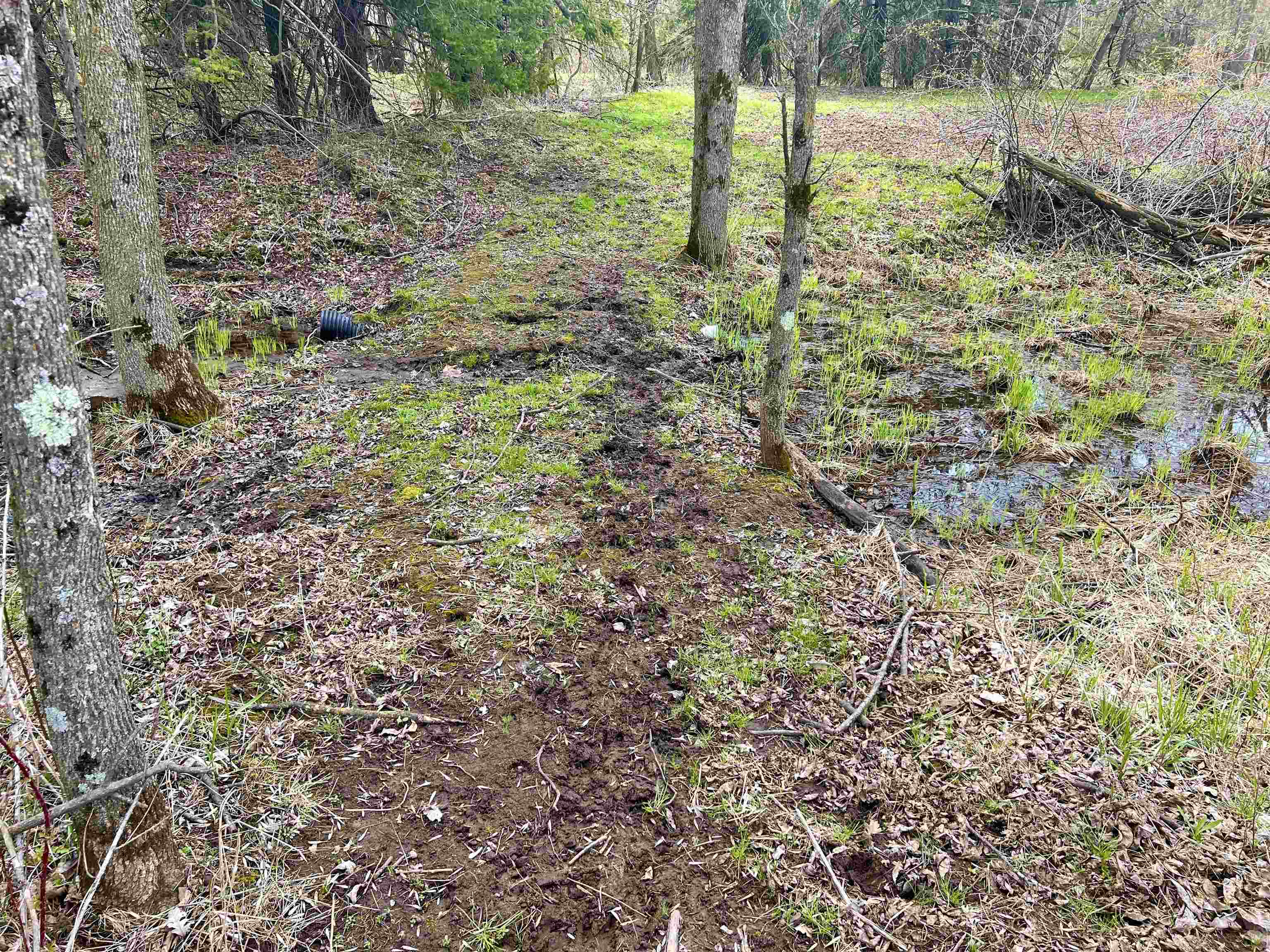 Little Suamico, Wisconsin 54141, United States, 2 Bedrooms Bedrooms, ,1 BathroomBathrooms,Residential,Active,53732