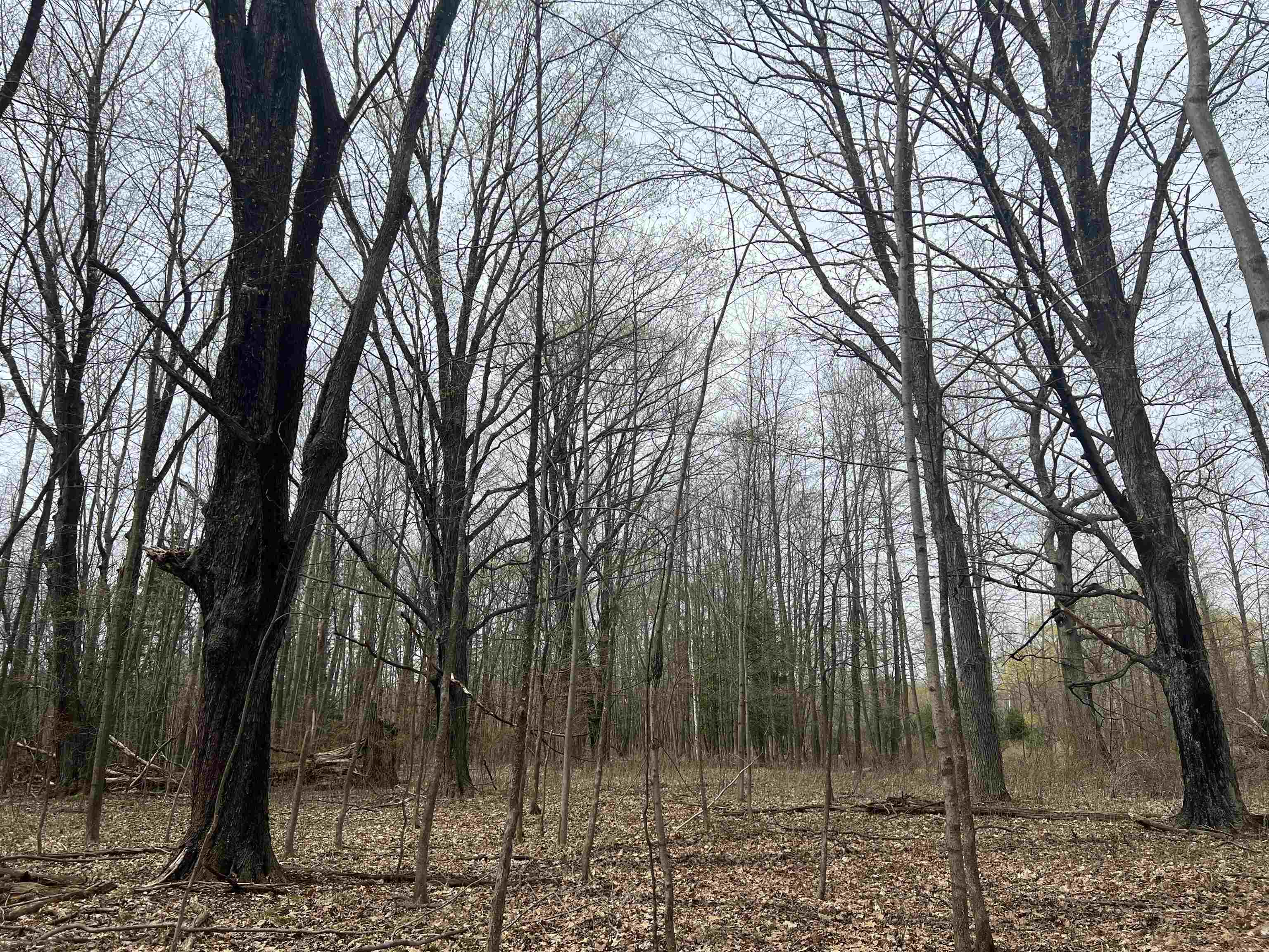 Little Suamico, Wisconsin 54141, United States, 2 Bedrooms Bedrooms, ,1 BathroomBathrooms,Residential,Active,53732