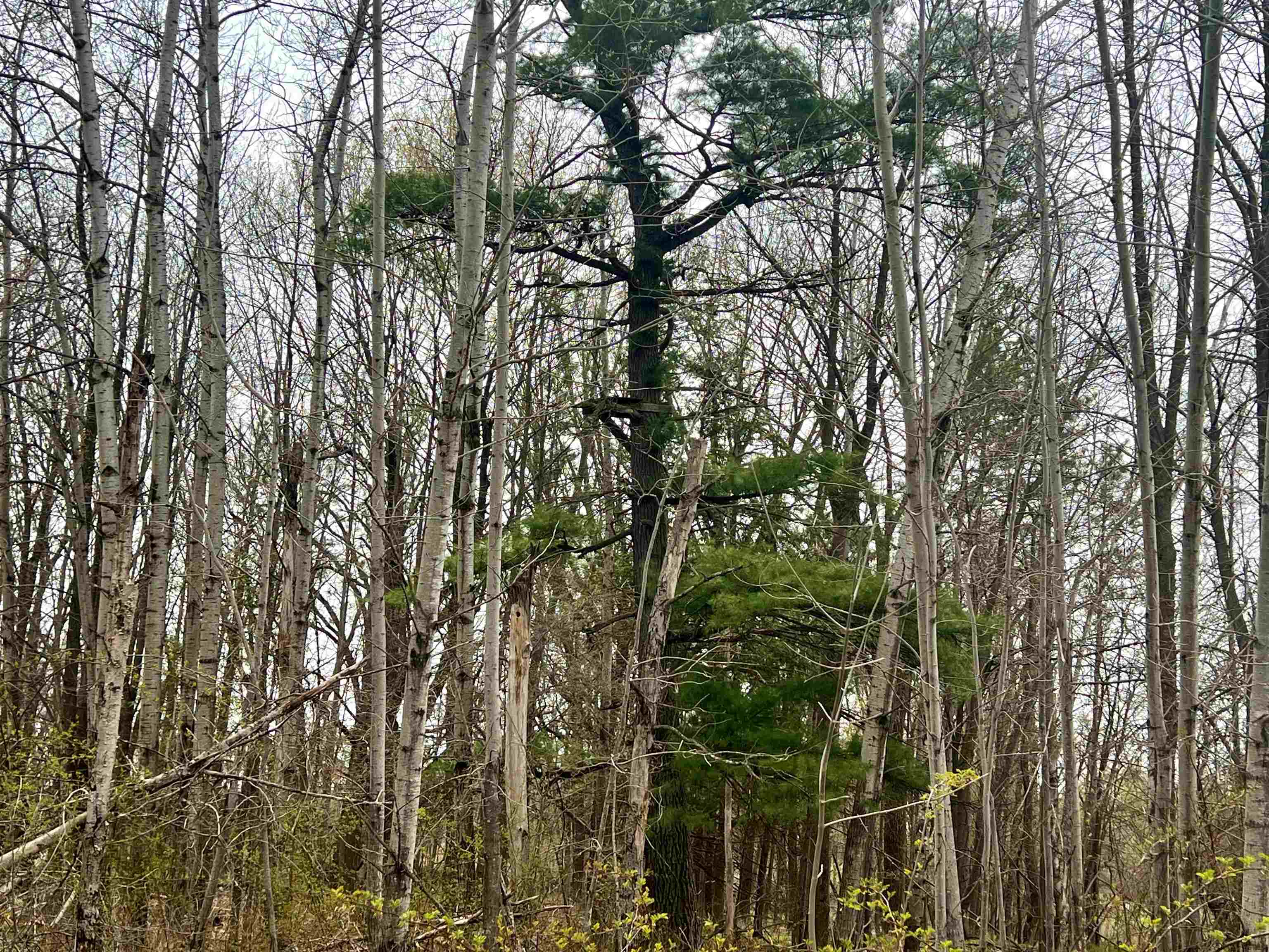 Little Suamico, Wisconsin 54141, United States, 2 Bedrooms Bedrooms, ,1 BathroomBathrooms,Residential,Active,53732