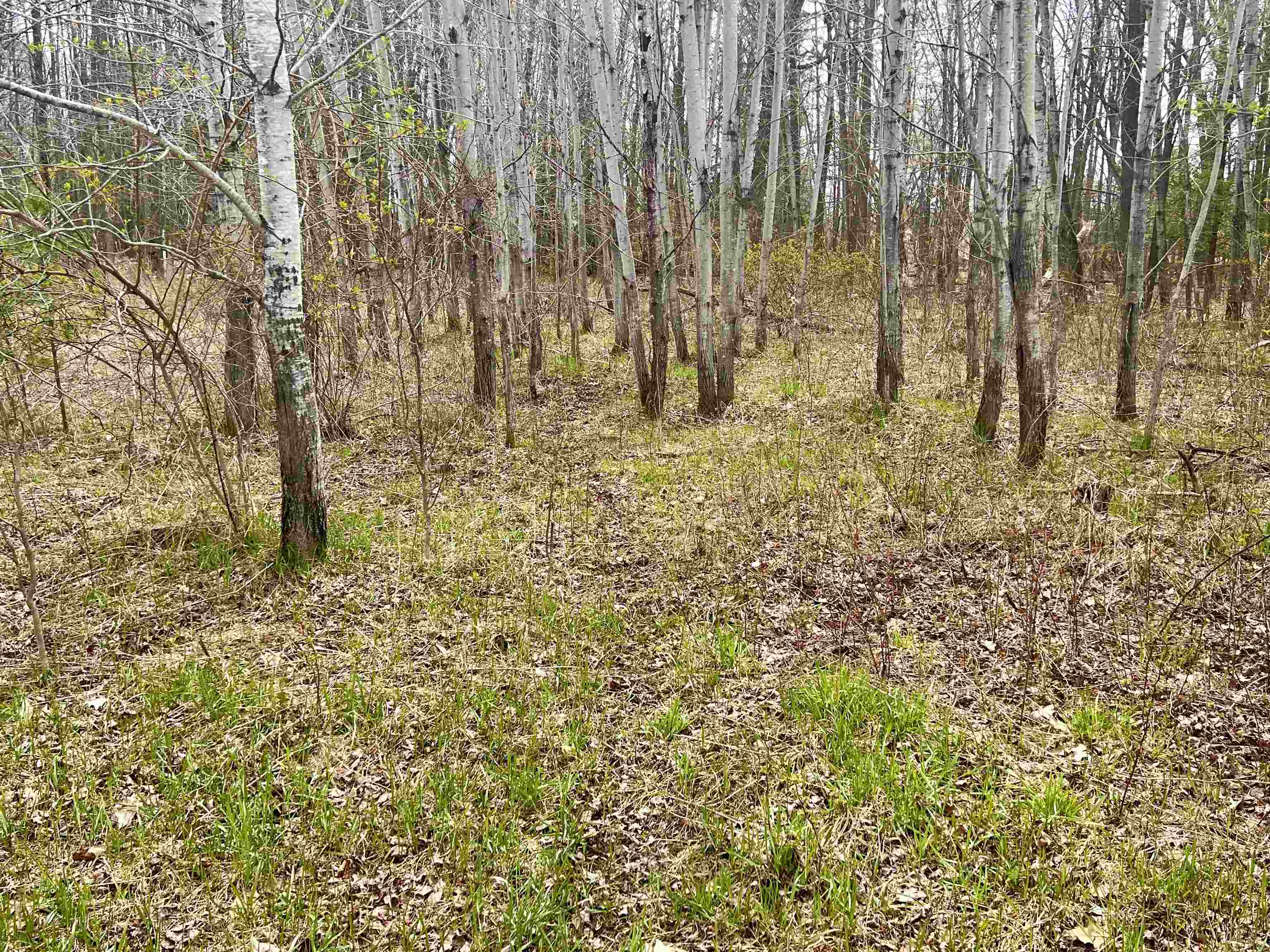 Little Suamico, Wisconsin 54141, United States, 2 Bedrooms Bedrooms, ,1 BathroomBathrooms,Residential,Active,53732