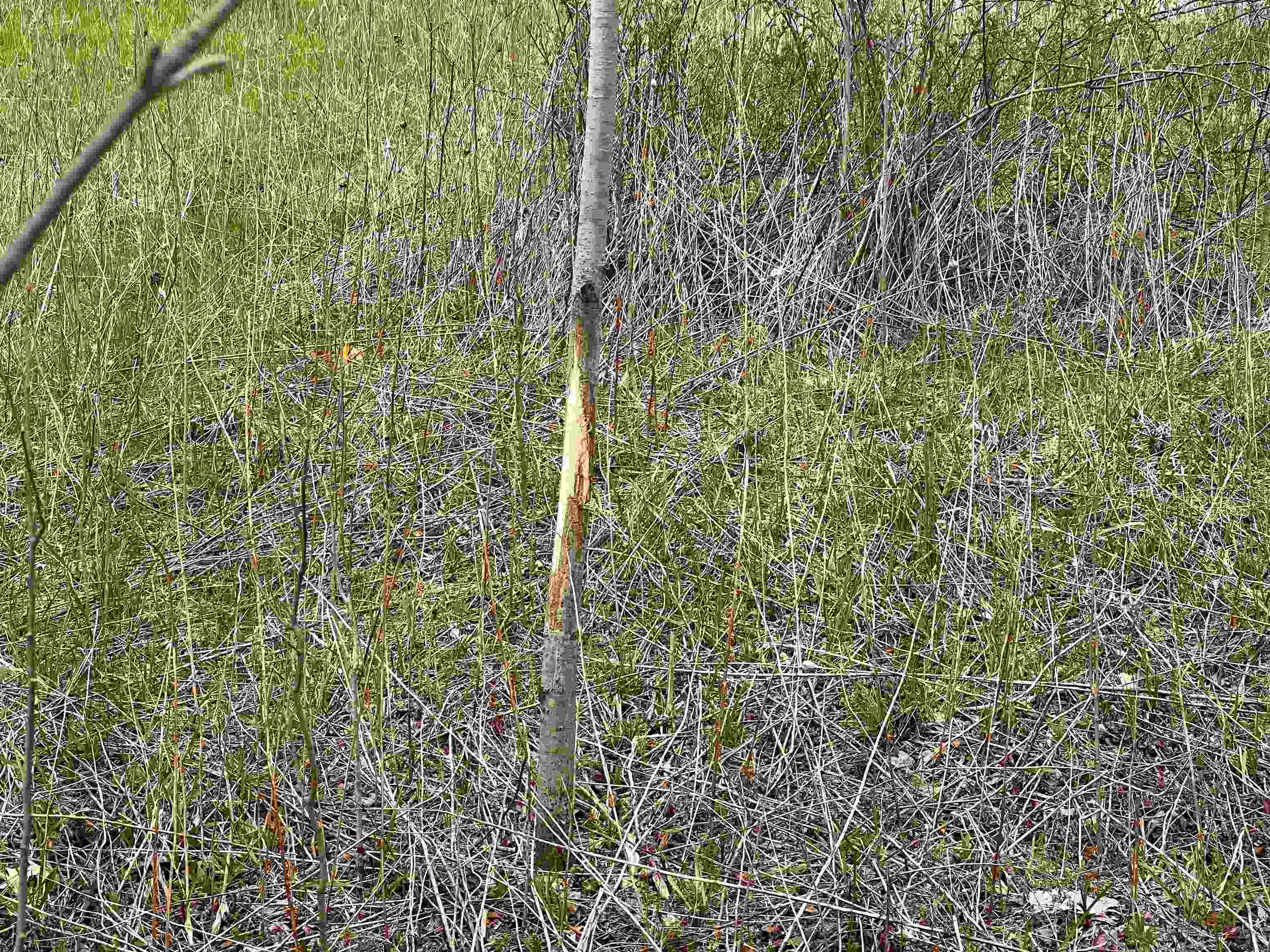 Little Suamico, Wisconsin 54141, United States, 2 Bedrooms Bedrooms, ,1 BathroomBathrooms,Residential,Active,53732