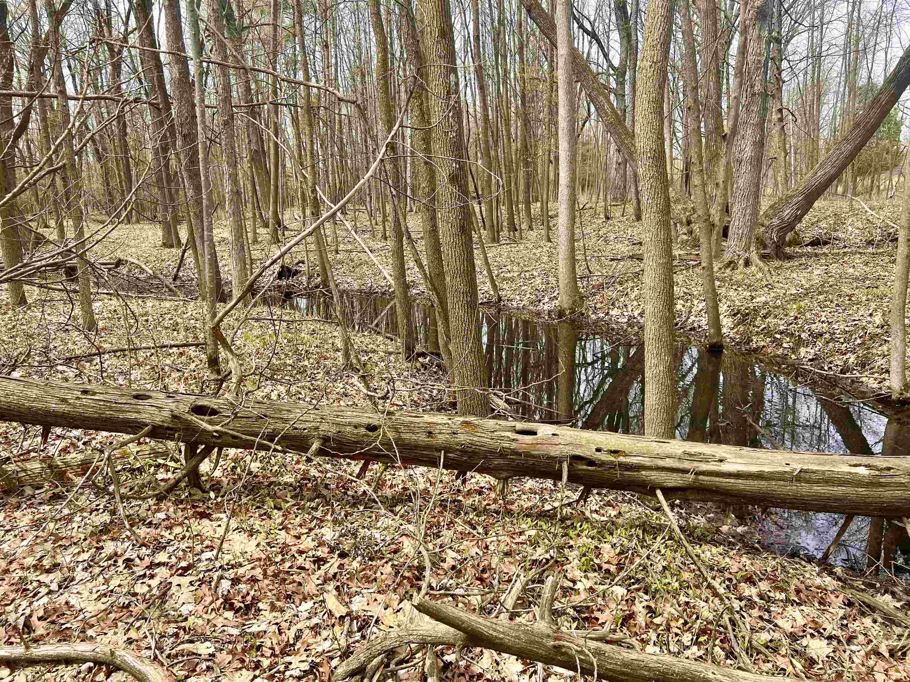 Little Suamico, Wisconsin 54141, United States, 2 Bedrooms Bedrooms, ,1 BathroomBathrooms,Residential,Active,53732