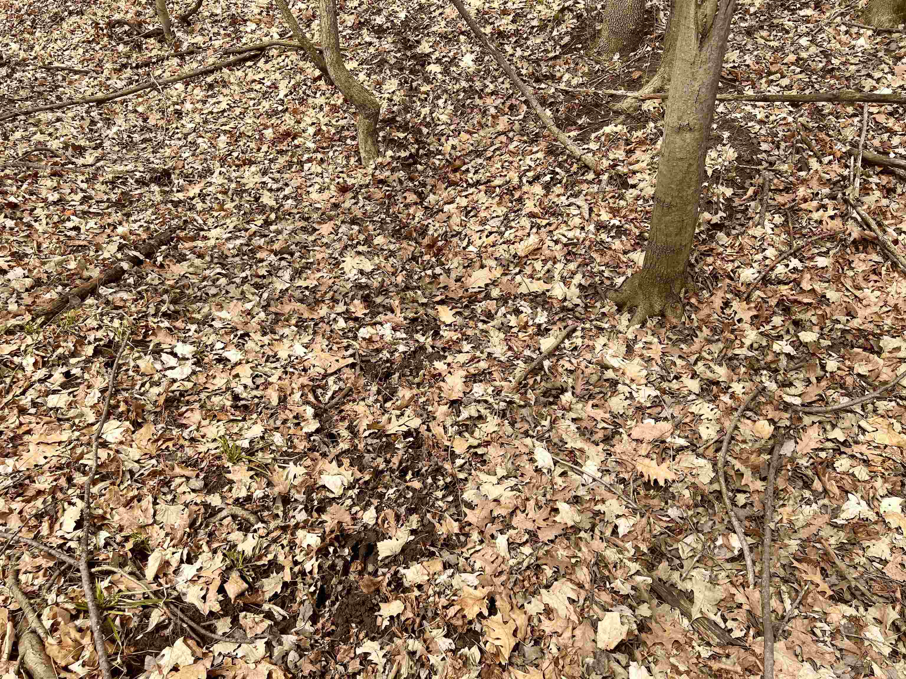 Little Suamico, Wisconsin 54141, United States, 2 Bedrooms Bedrooms, ,1 BathroomBathrooms,Residential,Active,53732