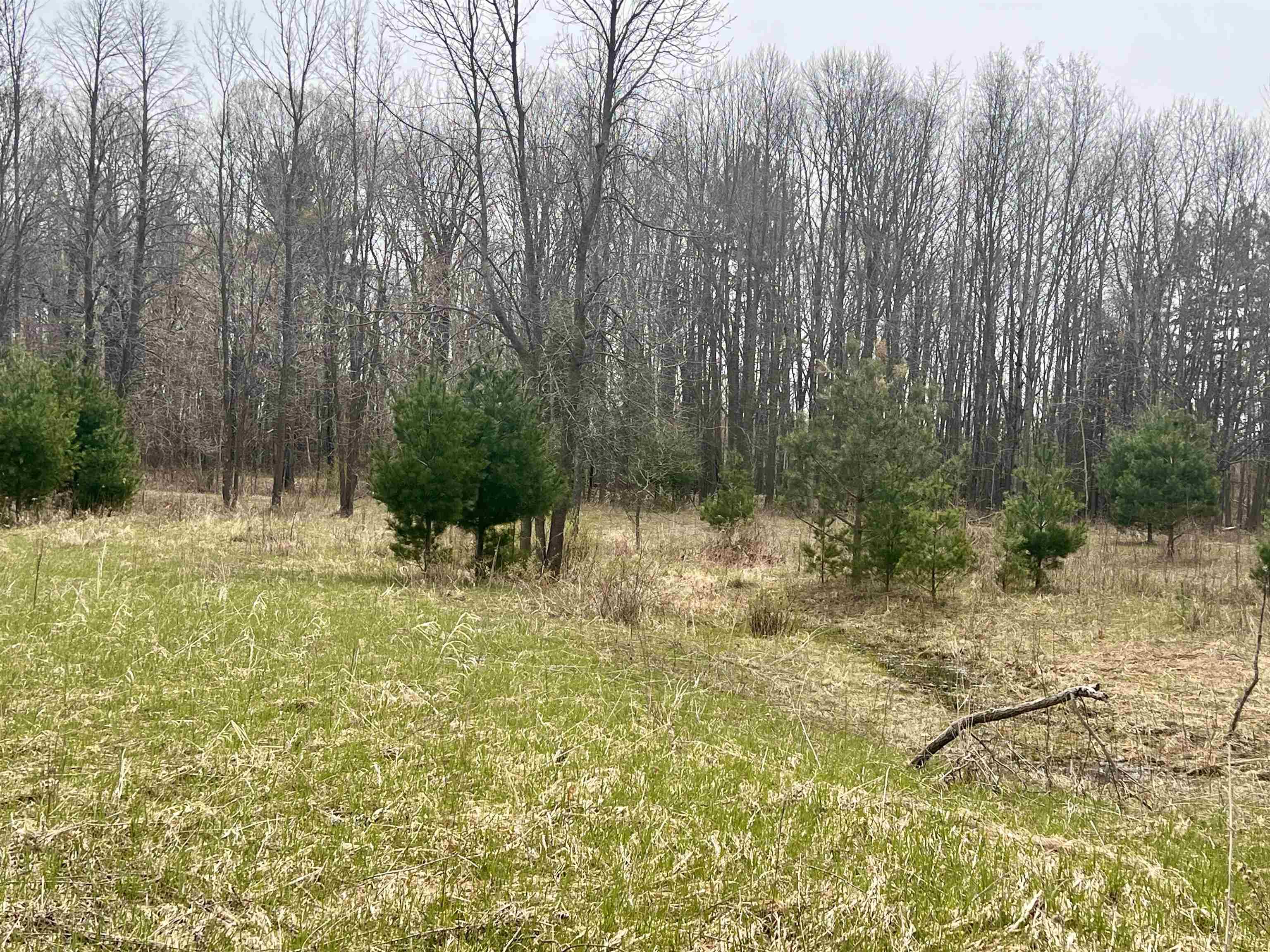 Little Suamico, Wisconsin 54141, United States, 2 Bedrooms Bedrooms, ,1 BathroomBathrooms,Residential,Active,53732