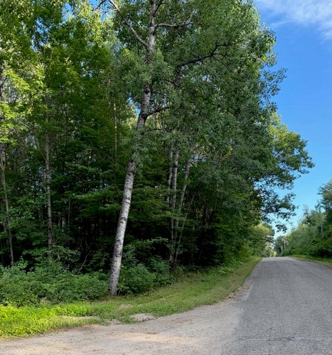 Photo of TOWN CORNER LAKE Road, AMBERG, WI 54102 (MLS # 50330198)