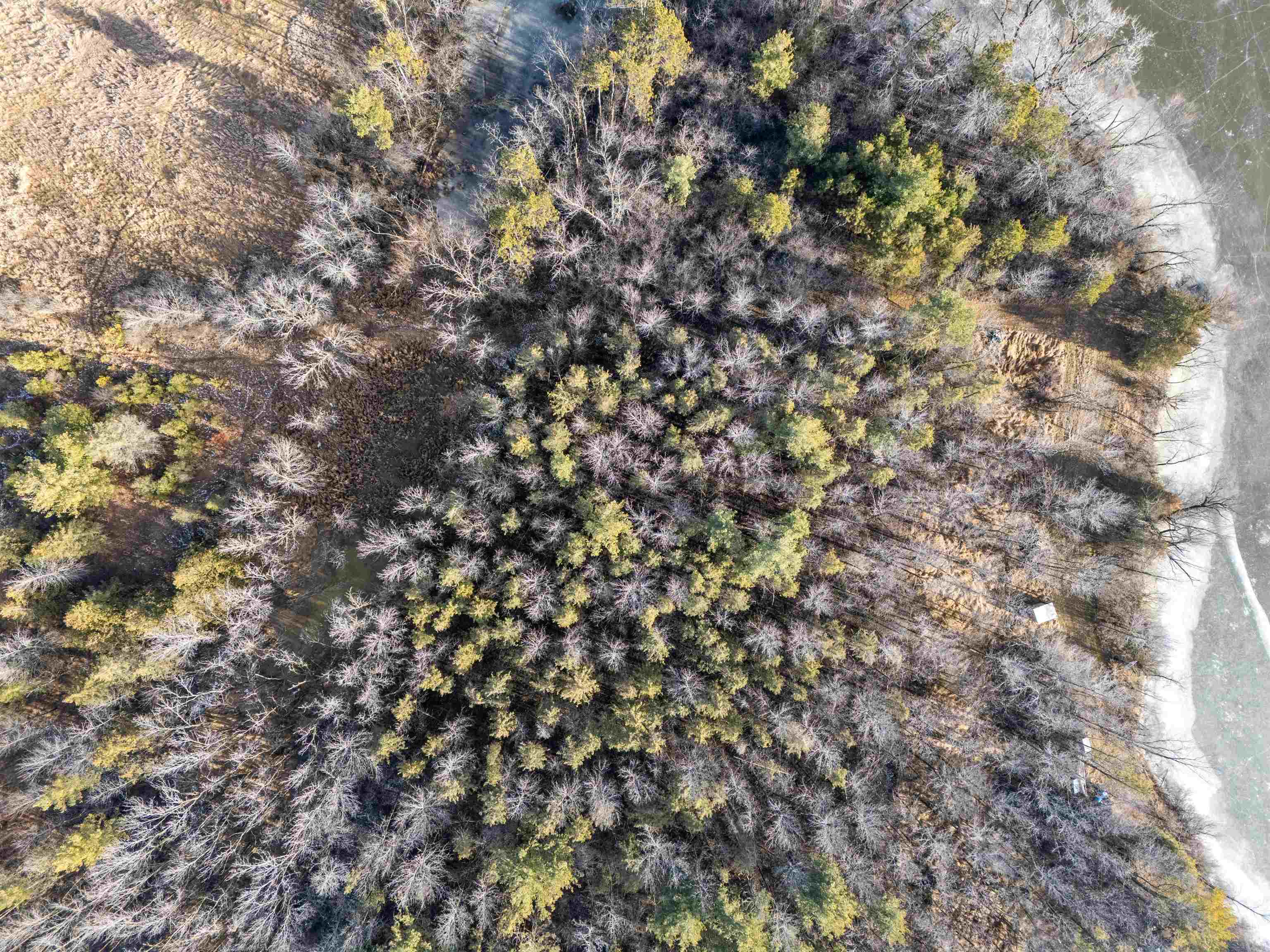 Weyauwega, Wisconsin 54983, United States, ,Land,Active,22618