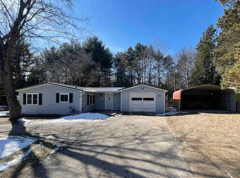 Photo of N5609 24TH Lane, WILD ROSE, WI 54984 (MLS # 50321880)