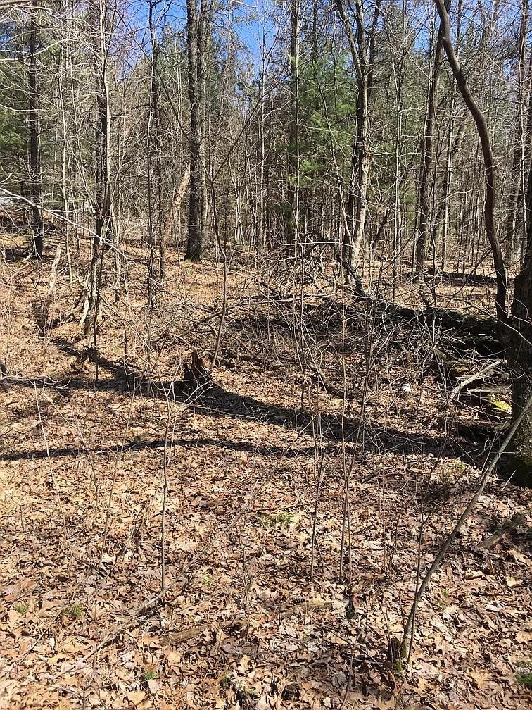 Shawano, Wisconsin 54166, United States, ,Land,Active,183197