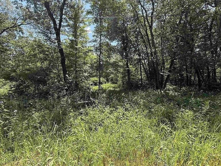 Shawano, Wisconsin 54166, United States, ,Land,Active,183197