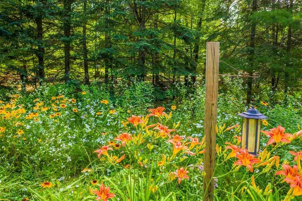 Shawano, Wisconsin 54166, United States, ,Land,Active,183197