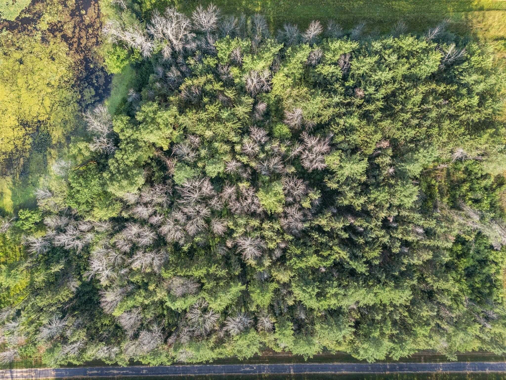 Weyauwega, Wisconsin 54983, United States, ,Land,Active,22590