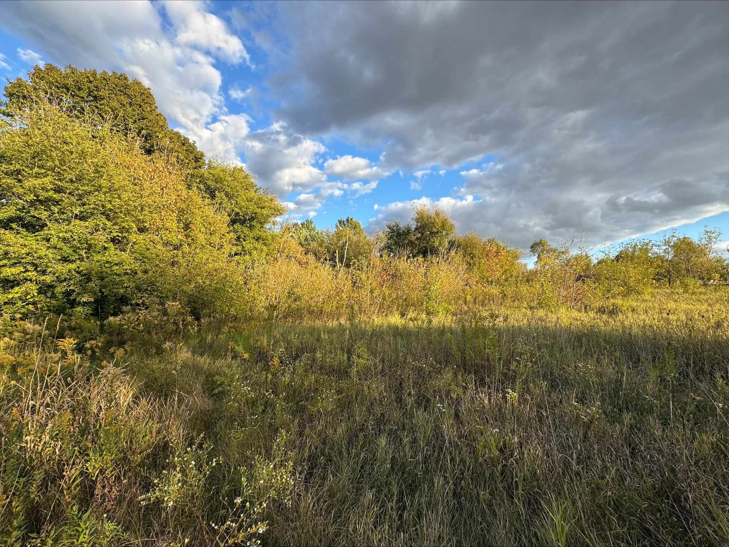 Hortonville, Wisconsin 54944, United States, ,Land,Active,225185