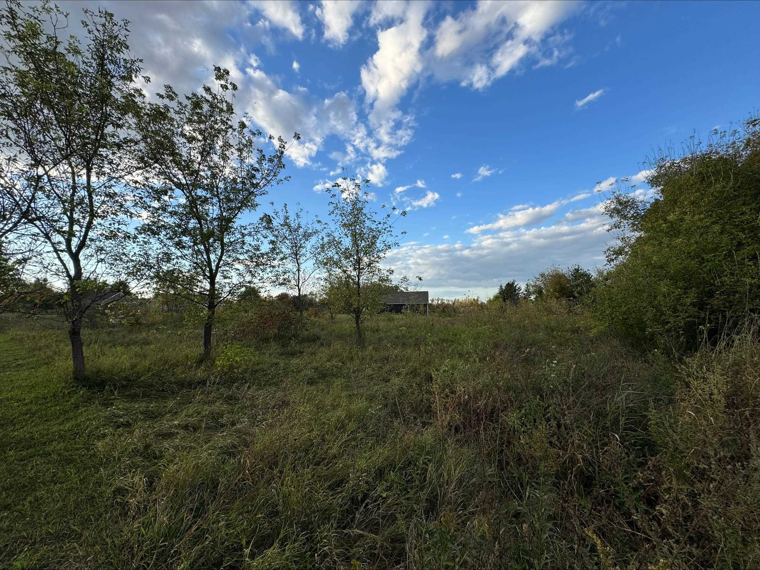 Hortonville, Wisconsin 54944, United States, ,Land,Active,225185