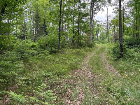Photo of W15816 FAWN ACRES Road, GOODMAN, WI 54125 (MLS # 50327007)