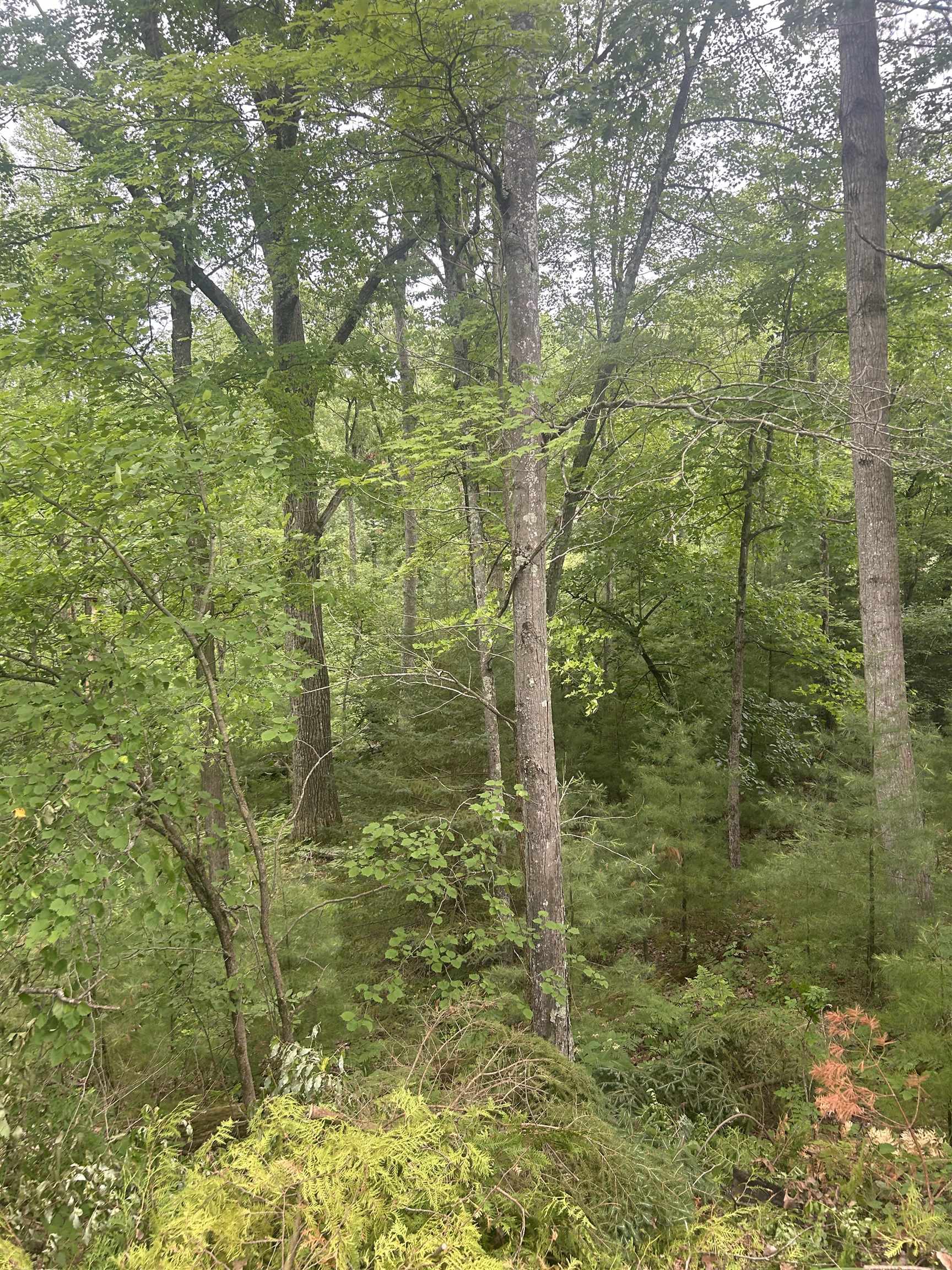 Wausaukee, Wisconsin 54177, United States, 3 Bedrooms Bedrooms, ,2 BathroomsBathrooms,Residential,Active,162995