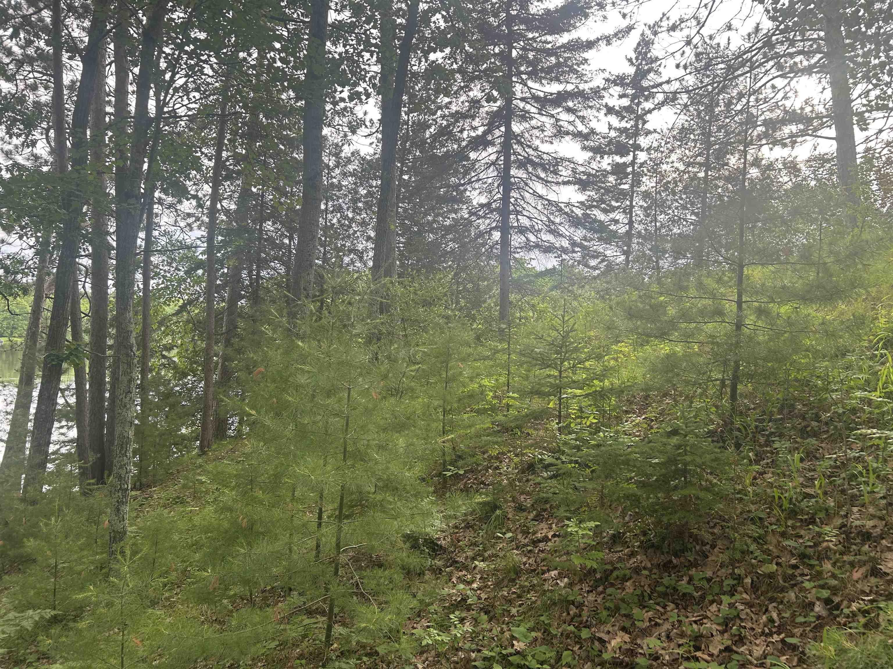 Wausaukee, Wisconsin 54177, United States, 3 Bedrooms Bedrooms, ,2 BathroomsBathrooms,Residential,Active,162995