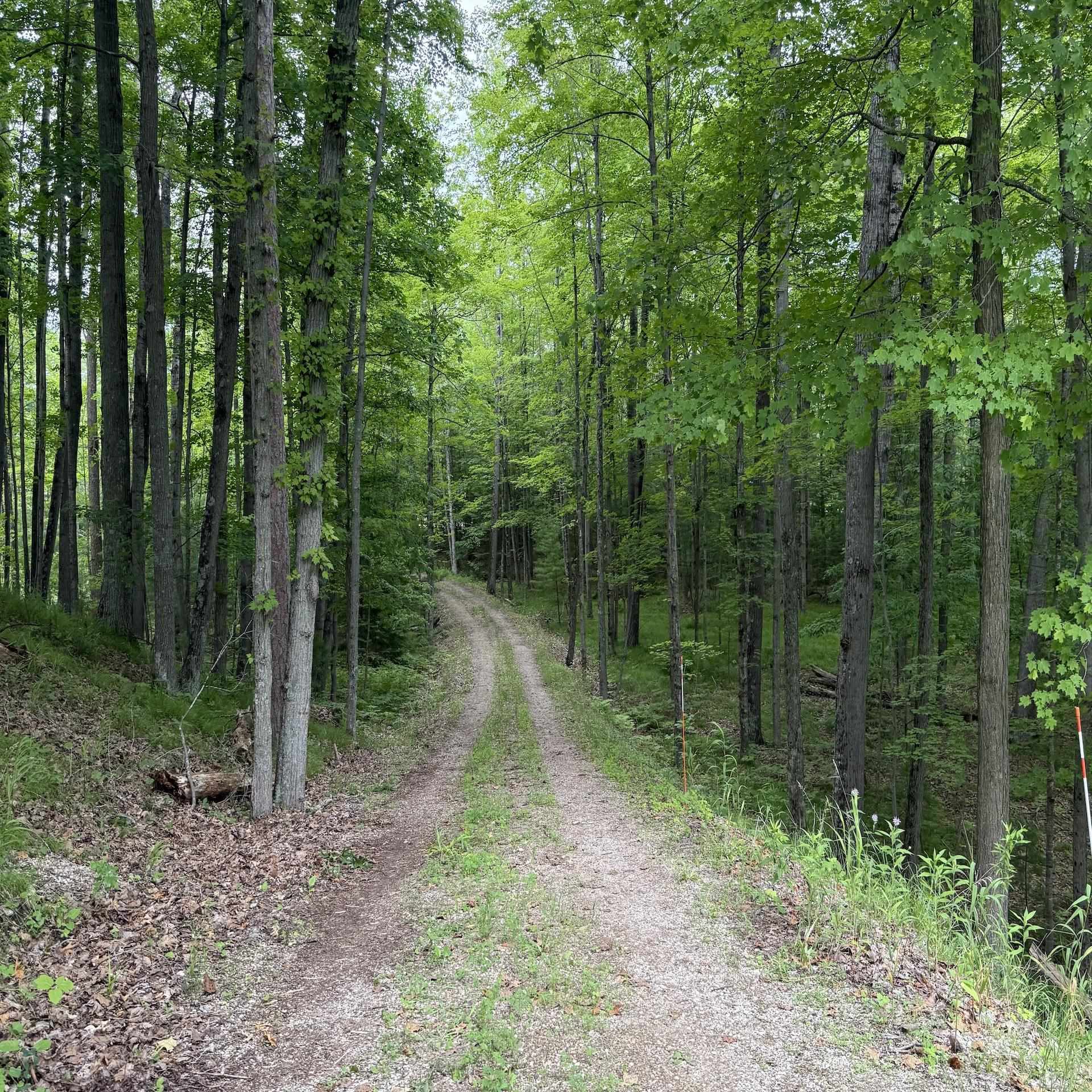 Wausaukee, Wisconsin 54177, United States, 3 Bedrooms Bedrooms, ,2 BathroomsBathrooms,Residential,Active,162995