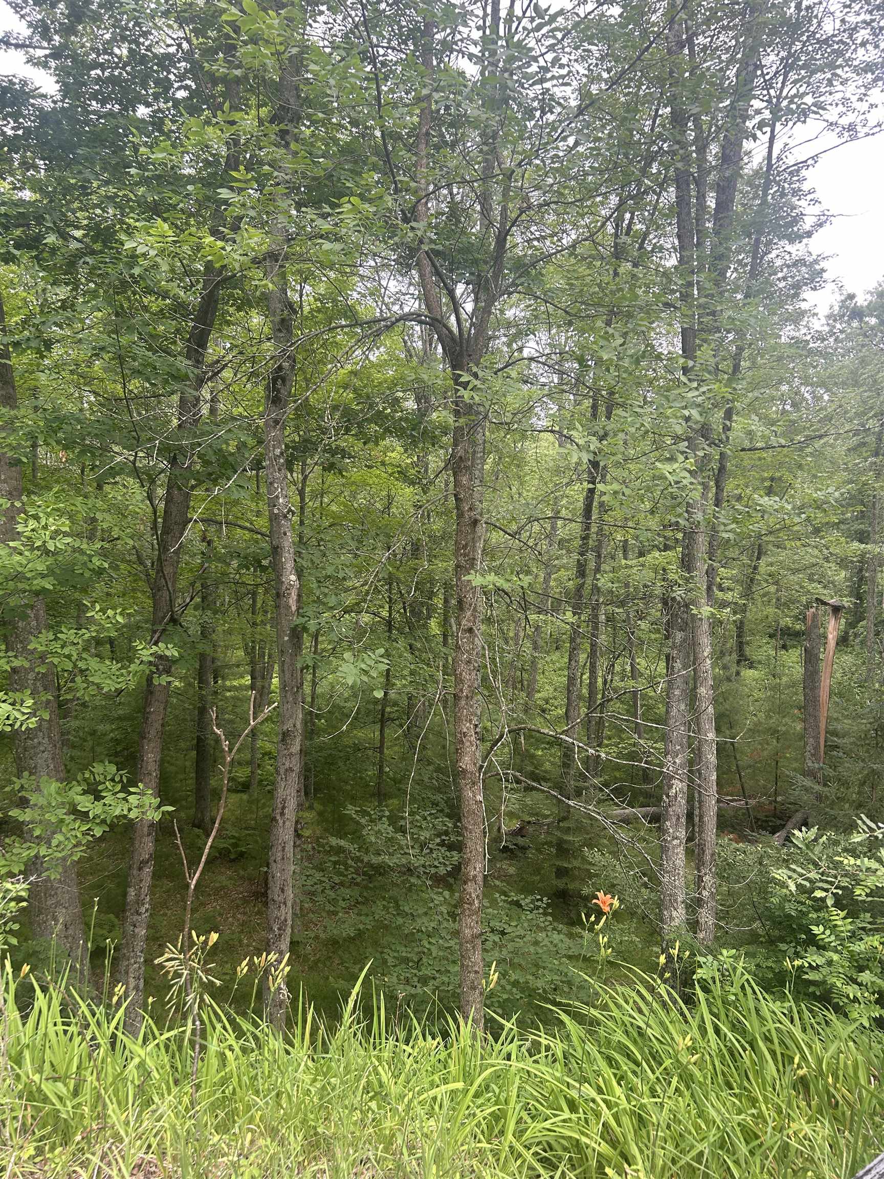 Wausaukee, Wisconsin 54177, United States, 3 Bedrooms Bedrooms, ,2 BathroomsBathrooms,Residential,Active,162995