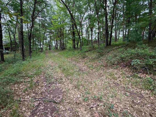 N1530 SPIRIT RIDGE RD, KESHENA, WI 54135 - Image eb29eb7fd6fb5d42f4bcf4b4be6c03c2/4177152989