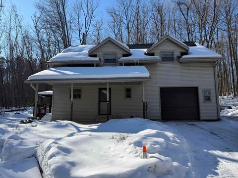 Photo of 413 DEER Lane, WABENO, WI 54566 (MLS # 50321443)