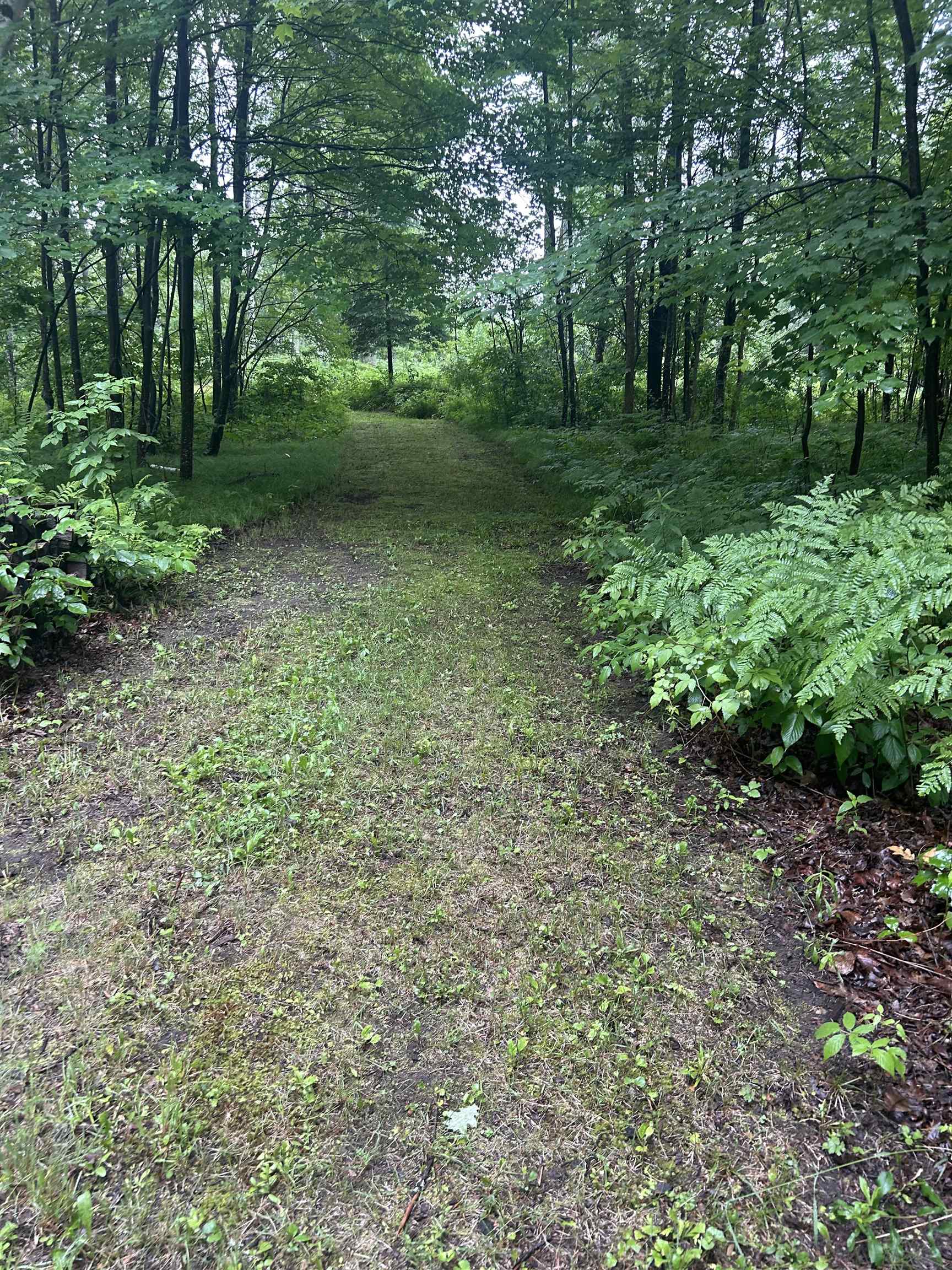 Athelstane, Wisconsin 54104, United States, 3 Bedrooms Bedrooms, ,2 BathroomsBathrooms,Residential,Active,160587