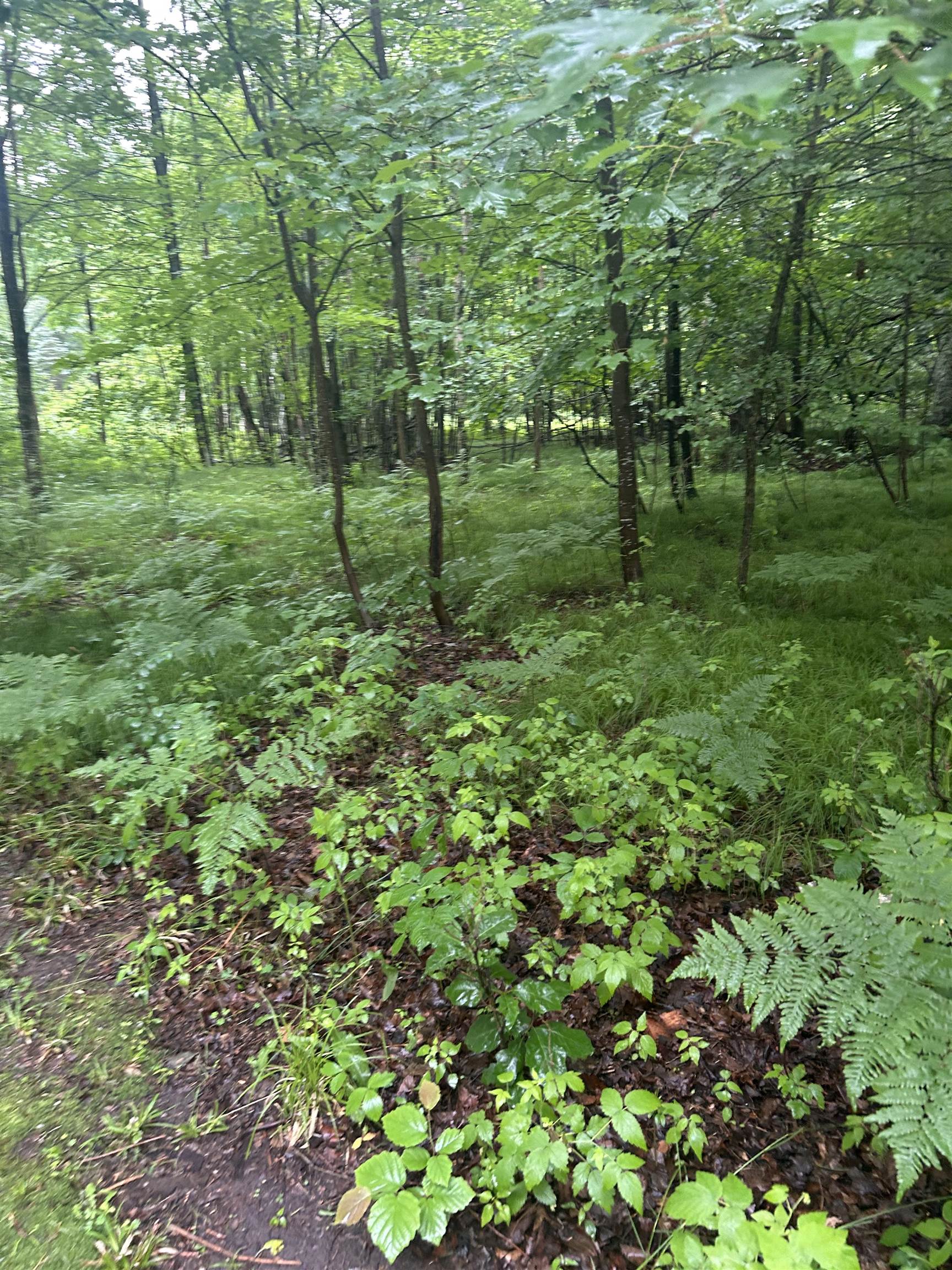 Athelstane, Wisconsin 54104, United States, 3 Bedrooms Bedrooms, ,2 BathroomsBathrooms,Residential,Active,160587