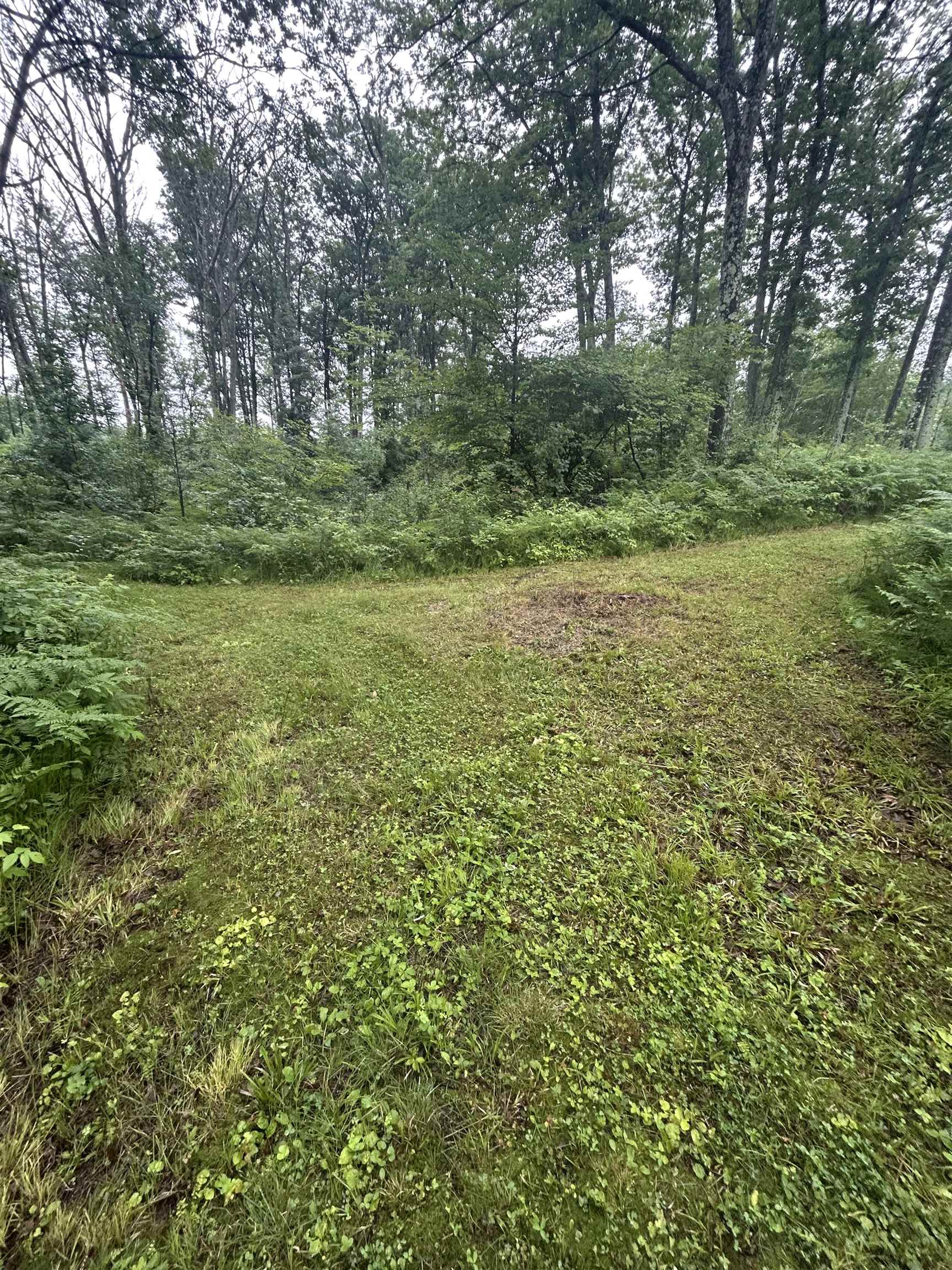 Athelstane, Wisconsin 54104, United States, 3 Bedrooms Bedrooms, ,2 BathroomsBathrooms,Residential,Active,160587