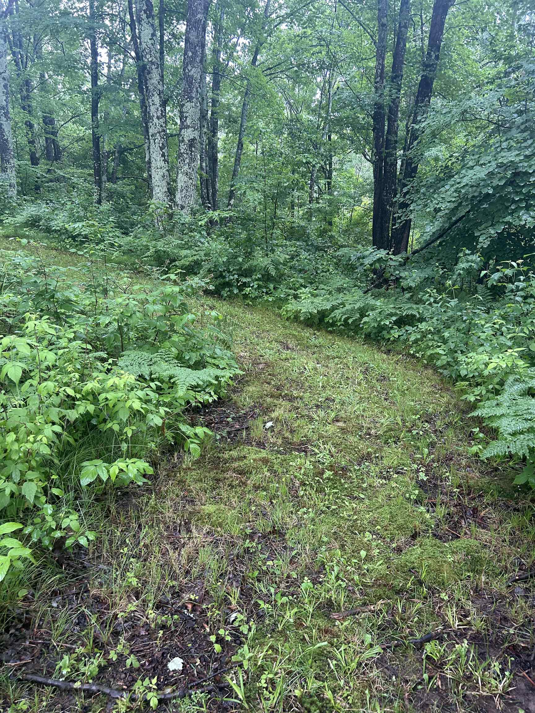 Athelstane, Wisconsin 54104, United States, 3 Bedrooms Bedrooms, ,2 BathroomsBathrooms,Residential,Active,160587