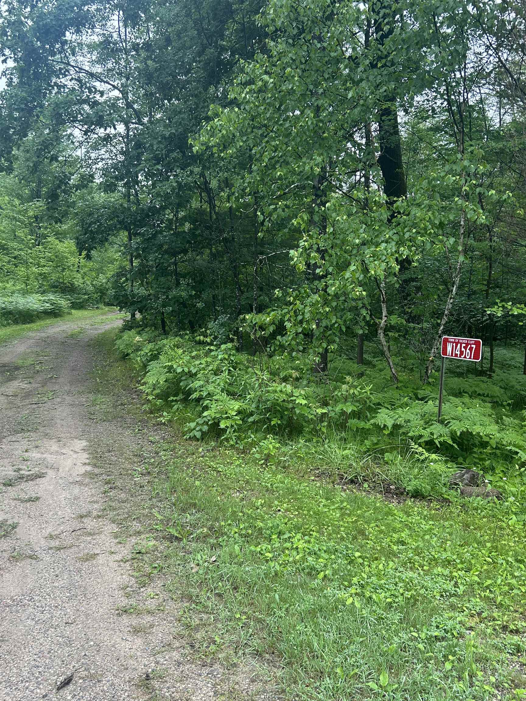 Athelstane, Wisconsin 54104, United States, 3 Bedrooms Bedrooms, ,2 BathroomsBathrooms,Residential,Active,160587