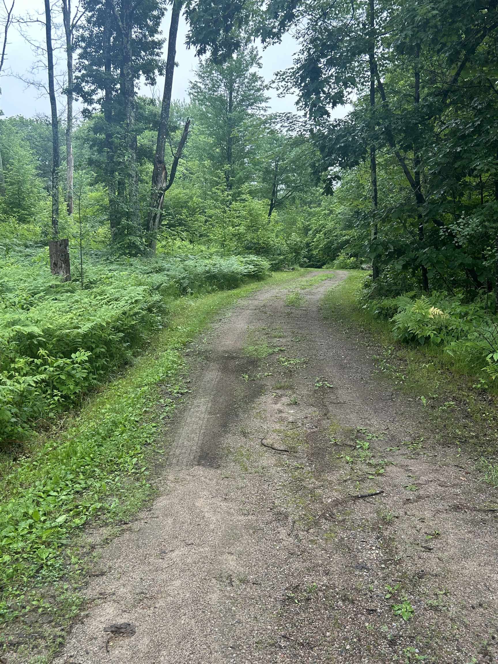 Athelstane, Wisconsin 54104, United States, 3 Bedrooms Bedrooms, ,2 BathroomsBathrooms,Residential,Active,160587