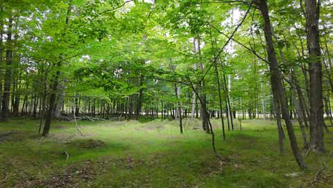 Photo of GIBRALTAR Road #12, FISH CREEK, WI 54212 (MLS # 50330400)