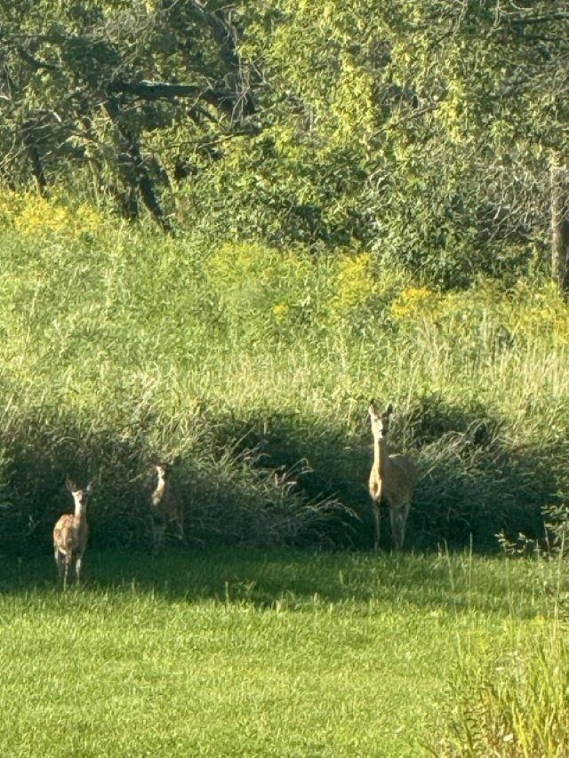 Bear Creek, Wisconsin 54922, United States, 3 Bedrooms Bedrooms, ,2 BathroomsBathrooms,Residential,Active,213754