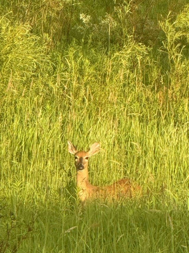 Bear Creek, Wisconsin 54922, United States, 3 Bedrooms Bedrooms, ,2 BathroomsBathrooms,Residential,Active,213754