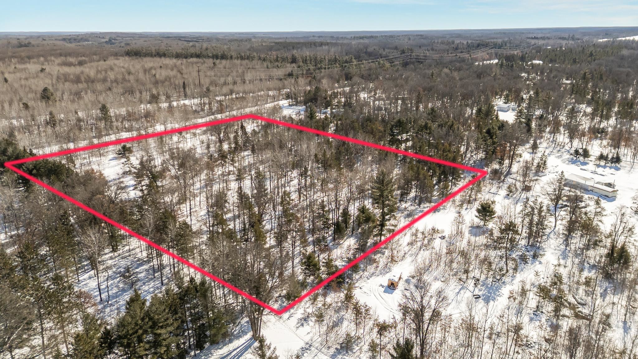 W7736 WHITE TAIL Lane