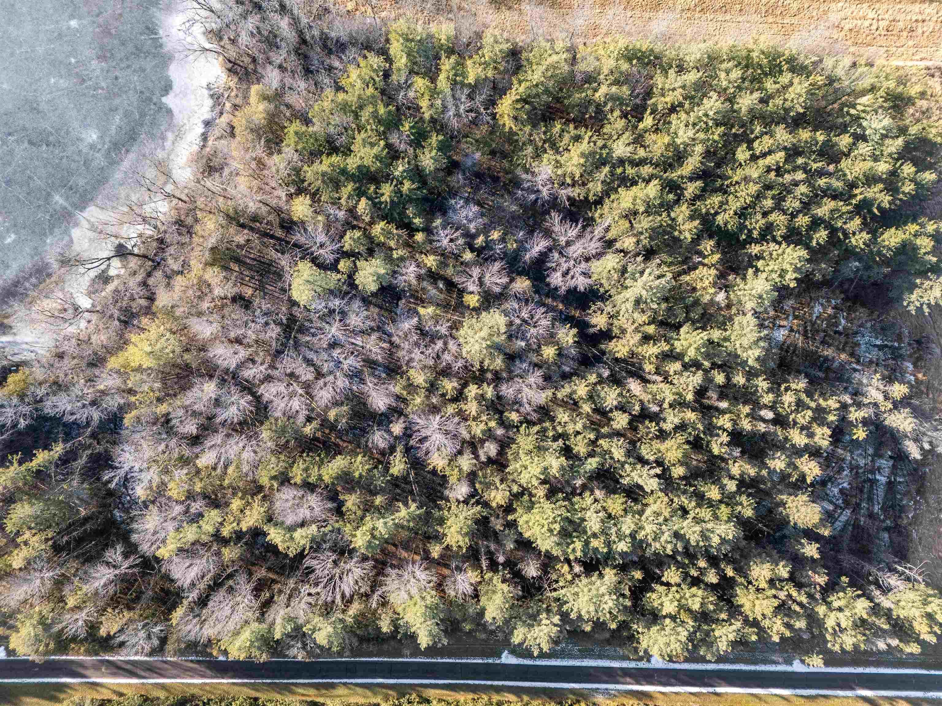 Weyauwega, Wisconsin 54983, United States, ,Land,Active,22639