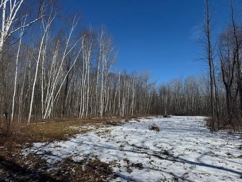 Photo of PIONEER Drive, ABRAMS, WI 54101 (MLS # 50321459)