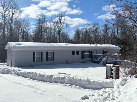 Photo of W10825 WOODS Road, DUNBAR, WI 54119 (MLS # 50321547)