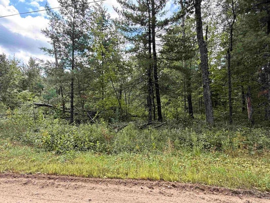 W1713 BIG SKY CT, KESHENA, WI 54135 - Image fcef1f7a3f7ceb0248eddb662a6de9d9/3144342510