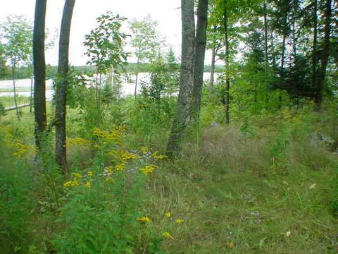 Photo of Lt4 W Bay Ct, Ainsworth, WI 54462 (MLS # 1326502)
