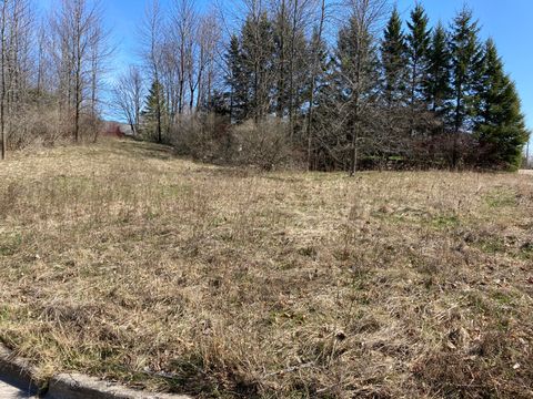 Photo of Lt5 35th St, Two Rivers, WI 54241 (MLS # 1735706)