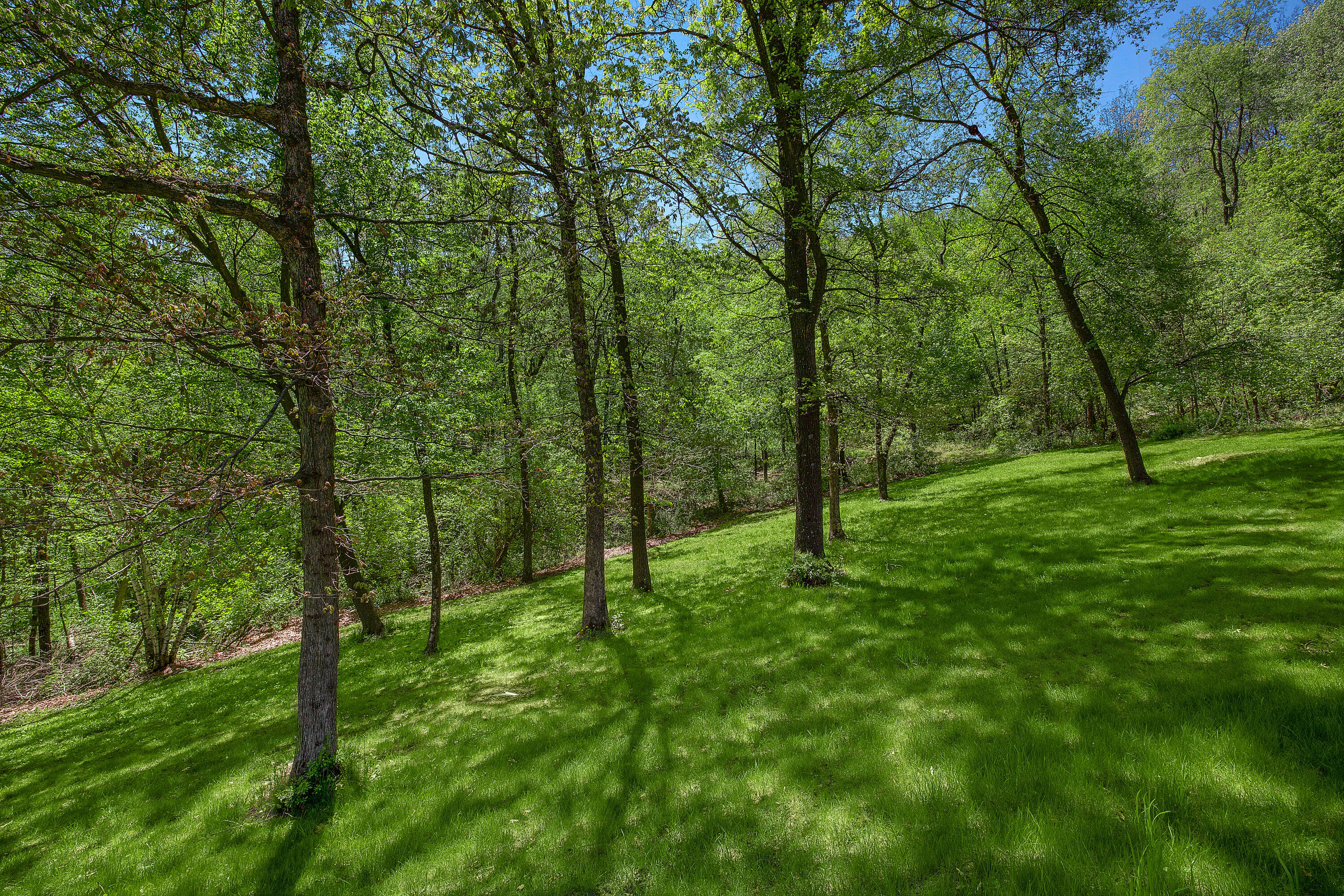 Sparta, Wisconsin 54656, United States, 5 Bedrooms Bedrooms, ,4 BathroomsBathrooms,Residential,Active,57701