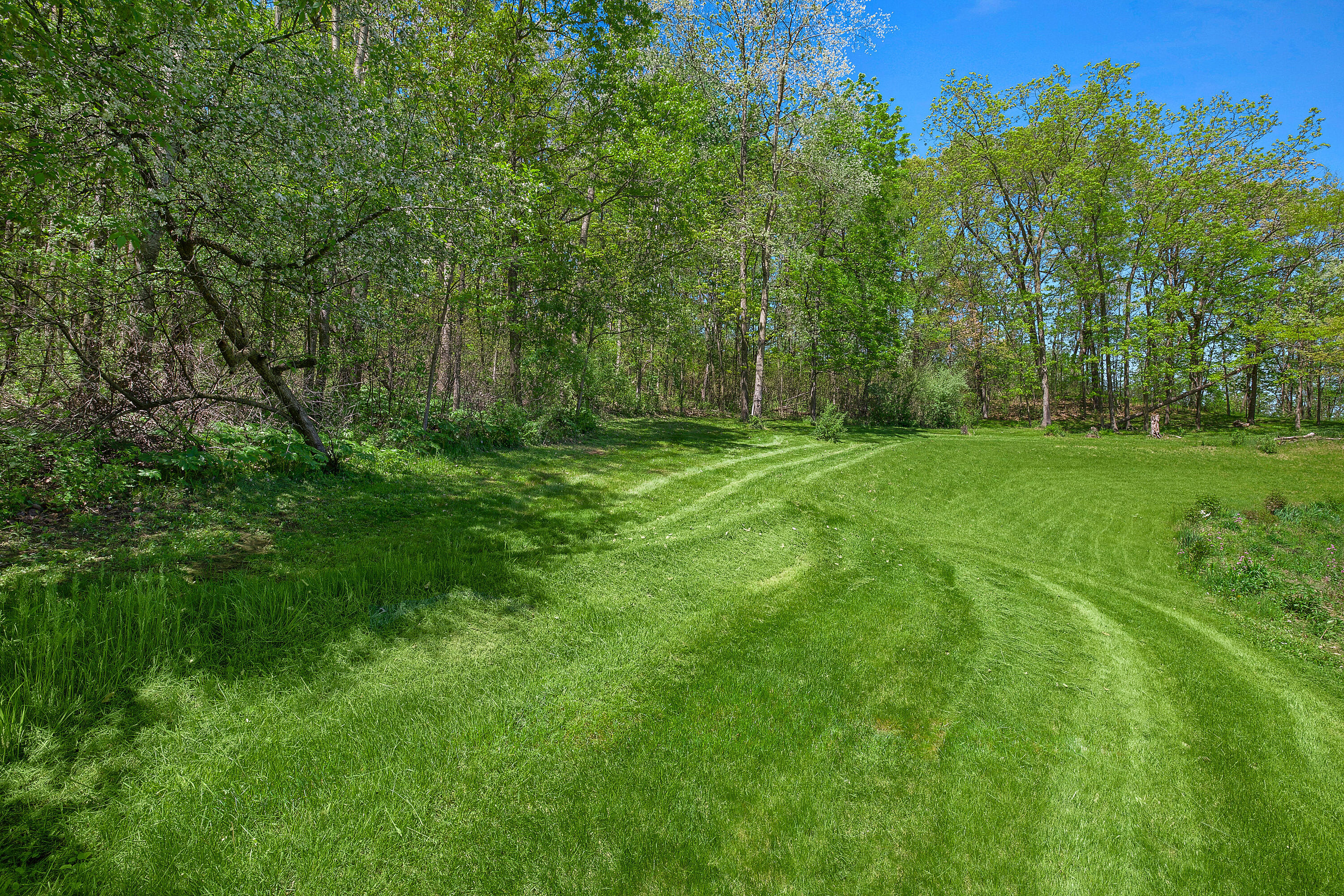 Sparta, Wisconsin 54656, United States, 5 Bedrooms Bedrooms, ,4 BathroomsBathrooms,Residential,Active,57701