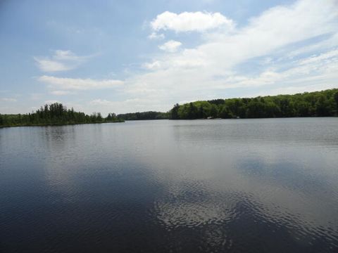 Photo of Lt18 Bear Lake Rd, Blackwell, WI 54566 (MLS # 1783995)
