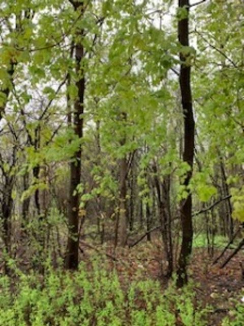 Photo of 32854 Bayview Dr, Burlington, WI 53105 (MLS # 1739525)