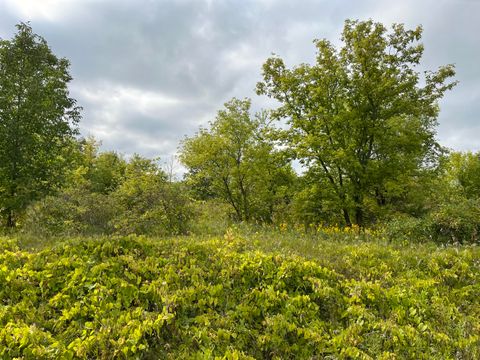 Photo of Lt4 Pelishek Rd, Sherman, WI 53001 (MLS # 1689650)